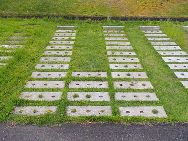 033 施工后草坪生长情况实例（铺设完成4年后）.jpg